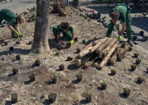 Die Anfänge eines biodiversen Gartenbeetes am Bahnhof in Hedingen.