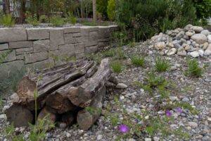 Ein biodiverser Garten erwacht im Frühling