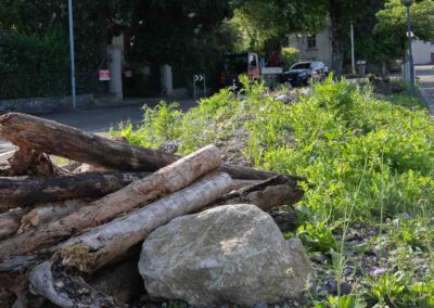 Garten Pfister biodiverse Garten Bahnhof Hedingen Juni 2024