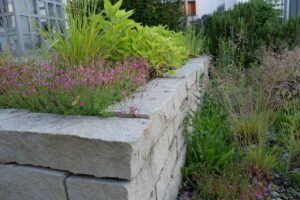 Garten Pfister Privat biodiverse Garten Juni 2025