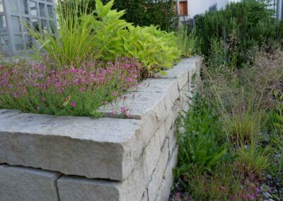 Garten Pfister Privat biodiverse Garten Juni 2025