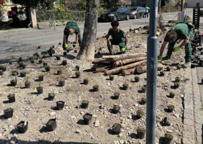 Bepflanzung April 2025 eines biodiversen Gartenbeetes am Bahnhof in Hedingen.