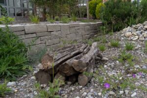 Garten Pfister Privat biodiverse Garten Frühjahr 2024