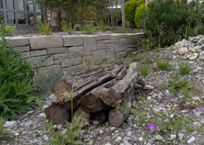 Garten Pfister Privat biodiverse Garten Frühjahr 2024