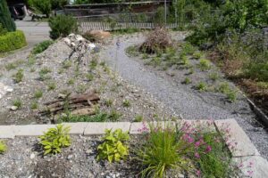 Garten Pfister Privat biodiverse Garten Frühjahr 2024