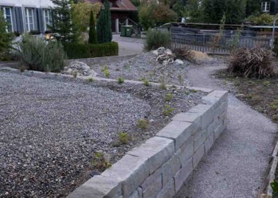 Garten Pfister Privat biodiverse Garten kurz nach der Bepflanzung in Herbst 2023