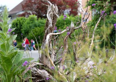 GartenPfister Bahnhof Hedingen Juni 2026