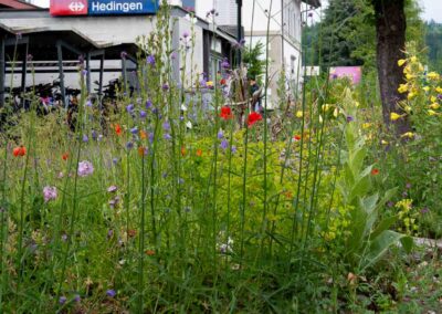 GartenPfister Bahnhof Hedingen Juni 2026