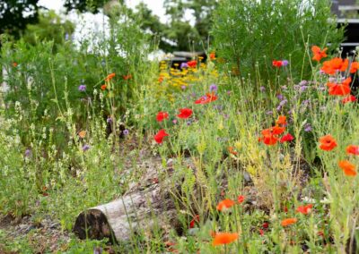 GartenPfister Bahnhof Hedingen Juni 2026